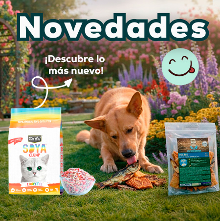 Descubre las novedades de Marzo