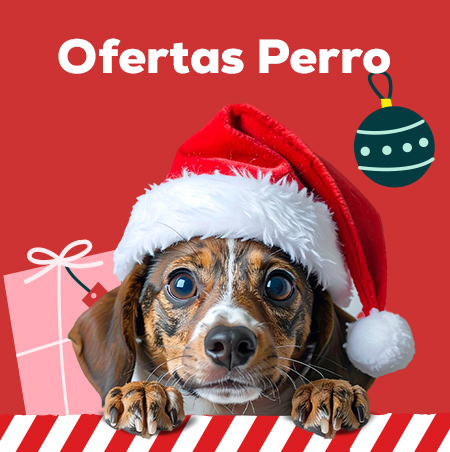 Ofertas para perro
