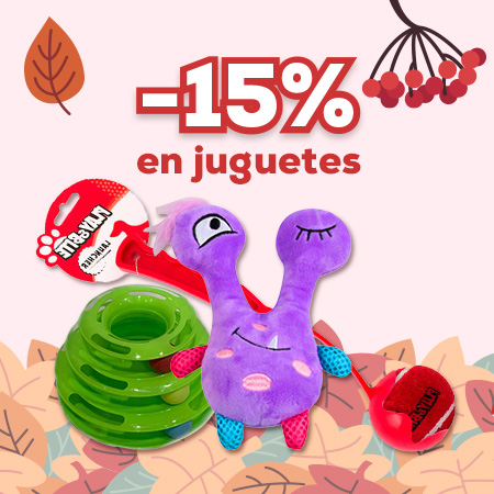 Juguetes 