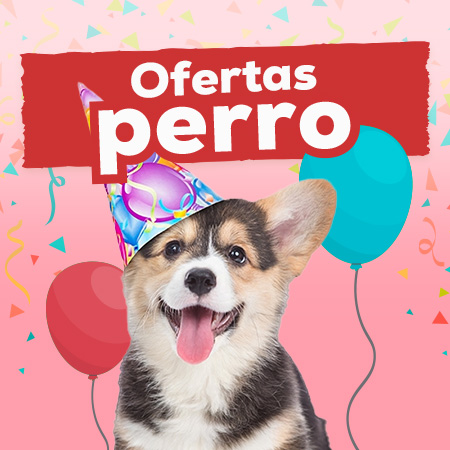 Ofertas para perro
