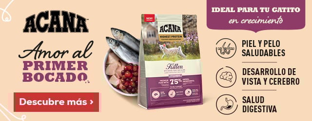 Lanzamiento exclusivo de pienso Acana  para gatos de interior Lanzamiento exclusivo de pienso Acana  para gatos de interior