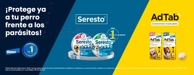 Seresto y Adtab: Protege ya a tu perro frente a los parásitos