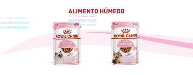 Descubre la comida húmeda que mejor se adapta para tu gatito
