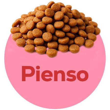 Pienso espcífico para cachorros