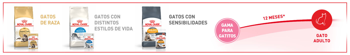 Desde gatito a gato adulto. Alimentación para cada etapa de vida, raza o necesidad. 