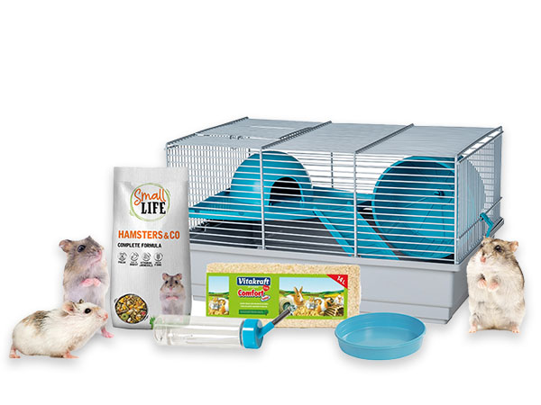 Kit de iniciación hamster