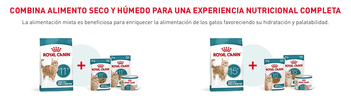 Dale a tu gato una experiencia nutricional completa favoreciendo su hidratación y palatabilidad combinando el pienso seco con la comida húmeda.