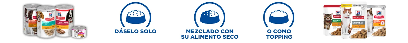 Explora diferentes formas de darle su alimento húmedo: sólo, con alimento seco o como topping