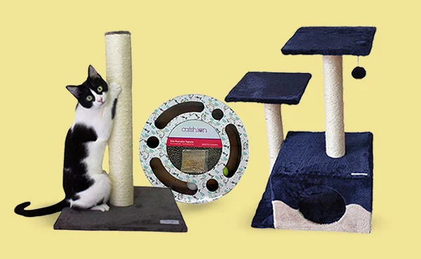 Rascadores para que todos los gatitos juegen