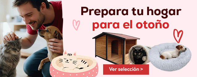 Prepara tu hogar para el otoño, hasta -30% en selección de accesorios