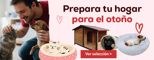 Prepara tu hogar para el otoño, hasta -30% en selección de accesorios