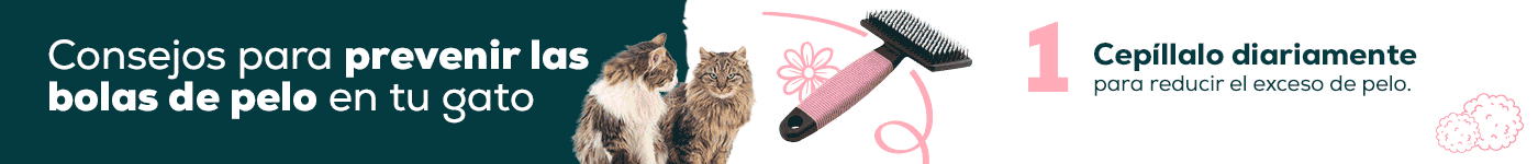 Post Blog Cómo evitar bolas de pelo en gatos