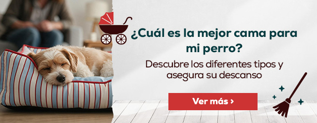 Tips para elegir la mejor cama para tu perro