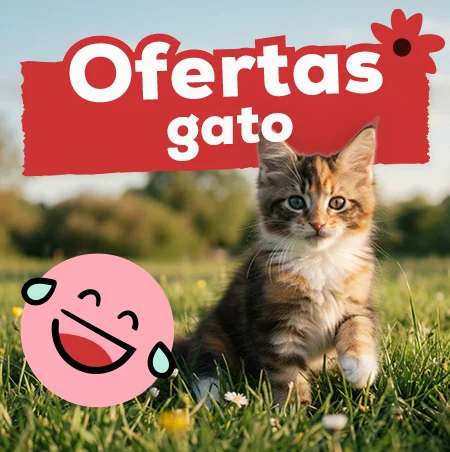 Ofertas para gato