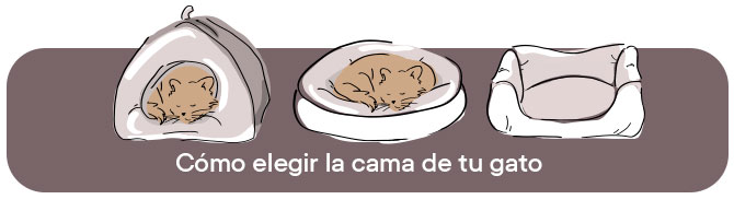 Cómo duermen los gatos: cómo elegir la mejor cama para gatos