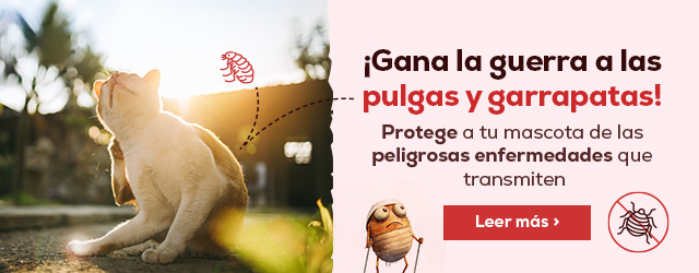 Gana la guerra a las pulgas y garrapatas