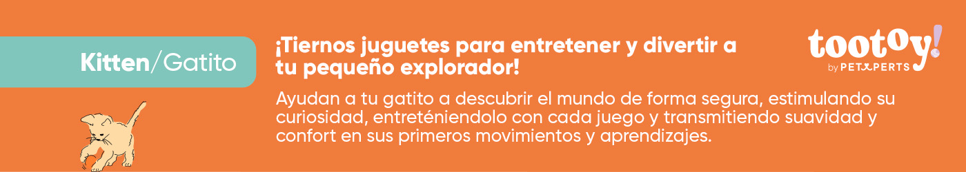 Tootoy Kitten