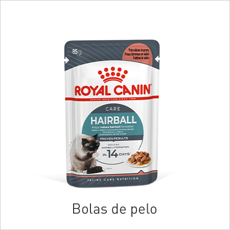 Bolas de peso