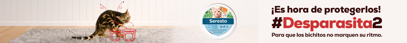 Antiparasitario Salud higiene gato