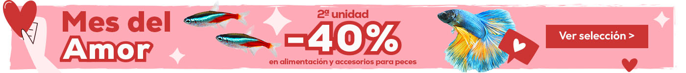 Mes del amor: Ofertas del mes de peces
