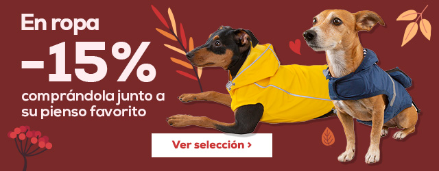 -15% en selección de ropa para perro comprando junto con su pienso favorito