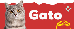 Descubre las marcas más animal lovers para gato