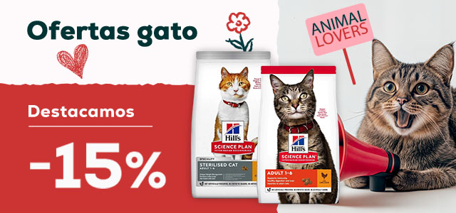 Hill's: -15% en selección de pienso para gato