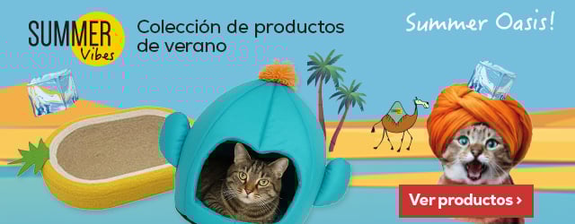 Summer Vibes: Los productos más refrescantes de la nueva colección de verano para gato