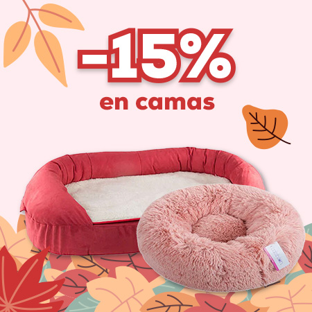 Camas