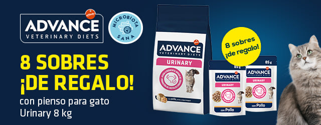 Advance Veterinary Diets: 8 sobres de húmedo de regalo con pienso para gato Urinary 8 kg