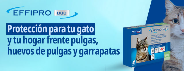Effipro: Protección para tu gato y tu hogar frente a pulgas, huevos de pulga y garrapatas