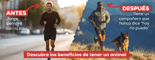 Descubre los beneficios de tener un anima