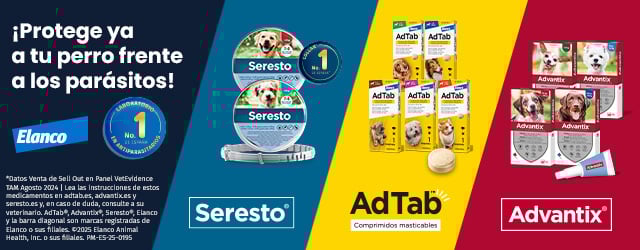 Seresto: Protege a tu perro frente a los parásitos
