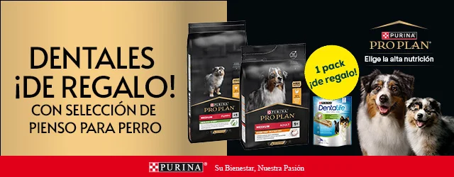 Pro Plan: 1 pack de snacks de regalo con selección de pienso para perro