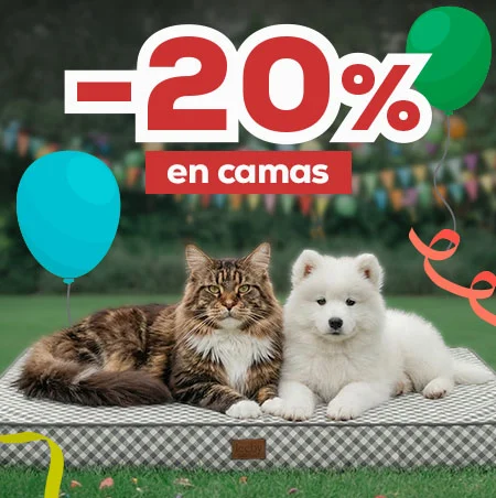 -20% en selección de camas