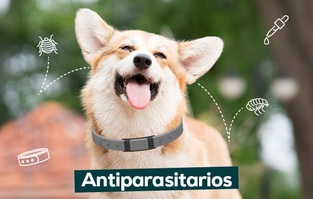 Antiparasitarios
