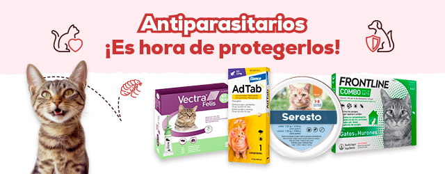 Antiparasitarios: es hora de proteger tu gato de las pulgas y garrapatas