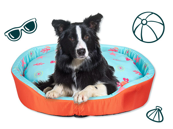 Mantas y bandanas refrescantes para perros y gatos