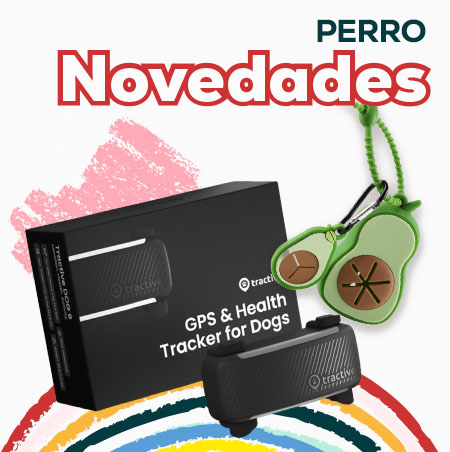 Descubre todas las novedades para perro