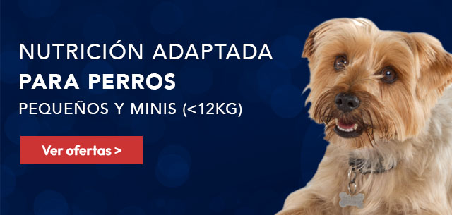 Hill's: Nutrición adapada para perro pequeños y minis