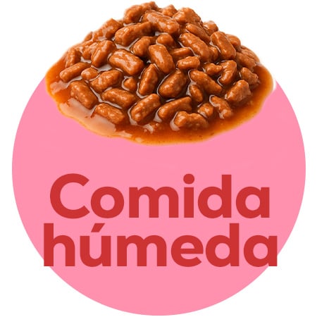 Comida húmeda específica para cachorros