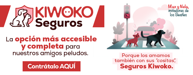 Nuevos Kiwoko Seguros: 1 mes gratis del 28 de mayo al 28 de agosto