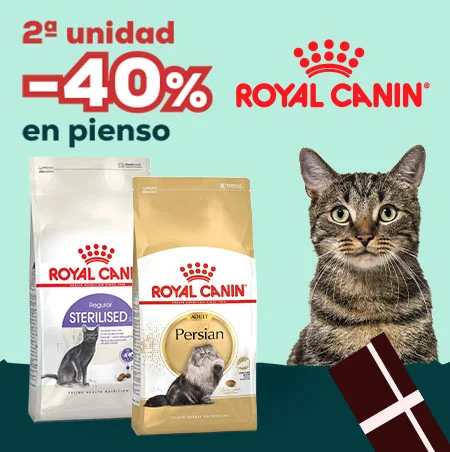 Royal Canin: -40% en la 2ª unidad en selección de pienso para gato
