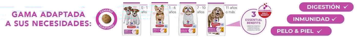 Hill's: ¿Por qué es importante darles una alimentación adaptada a su tamaño?