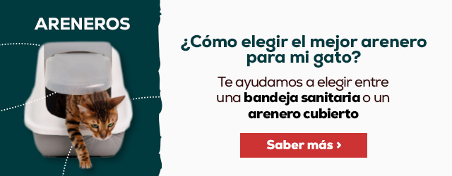¿Qué tipo de arenero elijo para mi gato?