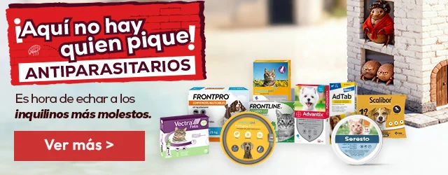 Antiparasitarios Perro: Es hora de protegerlos de las pulgas, garrapatas, flébotomos...