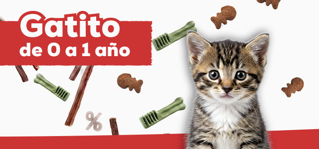Snacks para gatito de 0 a 1 año