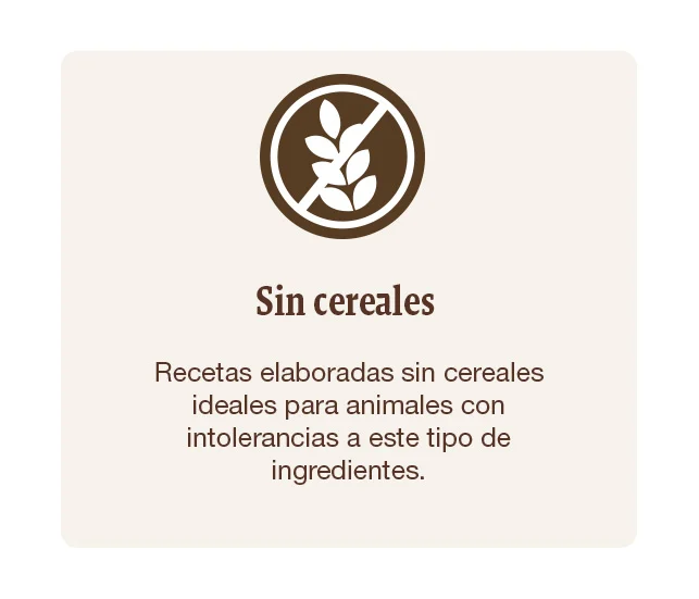 Recetas elaboradas sin cereales, ideales para animales con intolerancias