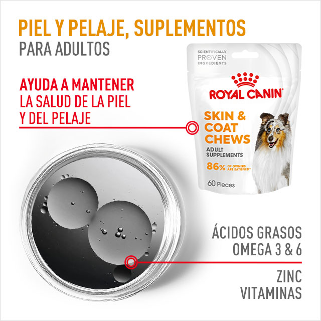 Piel y Pelaje. Suplementos para perros adultos que ayudan a mantener la salud de su piel y pelaje