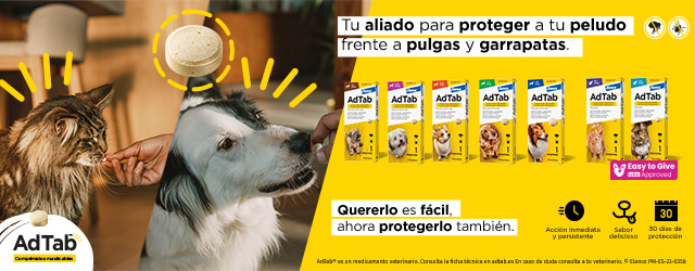 AdTab: el comprimido antiparasitario para perro y gato que elimina pulgas y garrapatas
